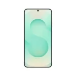 Samsung-Galaxy-S25-Myatnyj_2