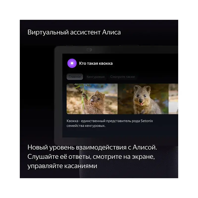 yandeks-stanciya-duo-maks-s-alisoj-chyornyj_5