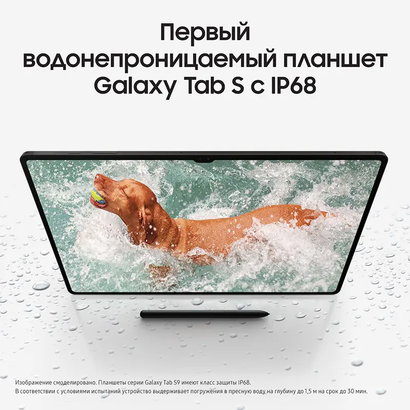 GalaxyTabS9-grafit8